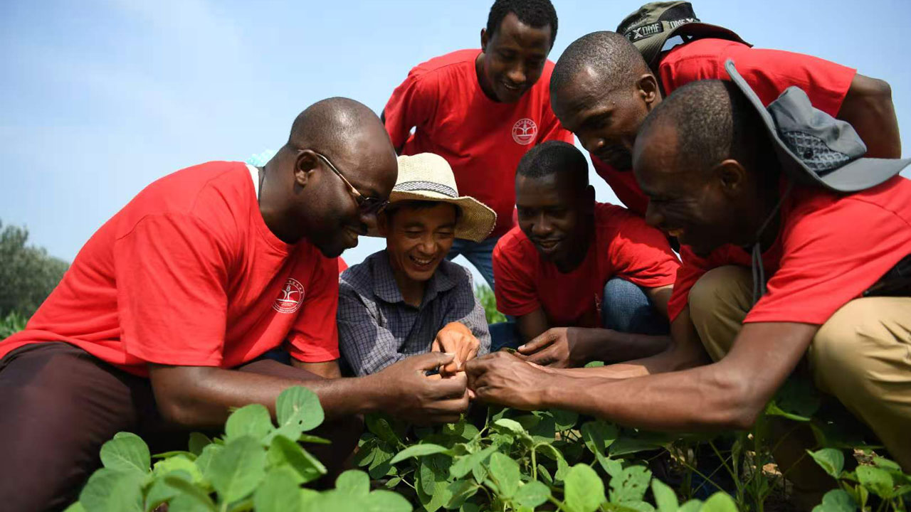 ccd14b122b2b4f68bd437ebdb475f5dc.jpg ccd14b122b2b4f68bd437ebdb475f5dc.jpg