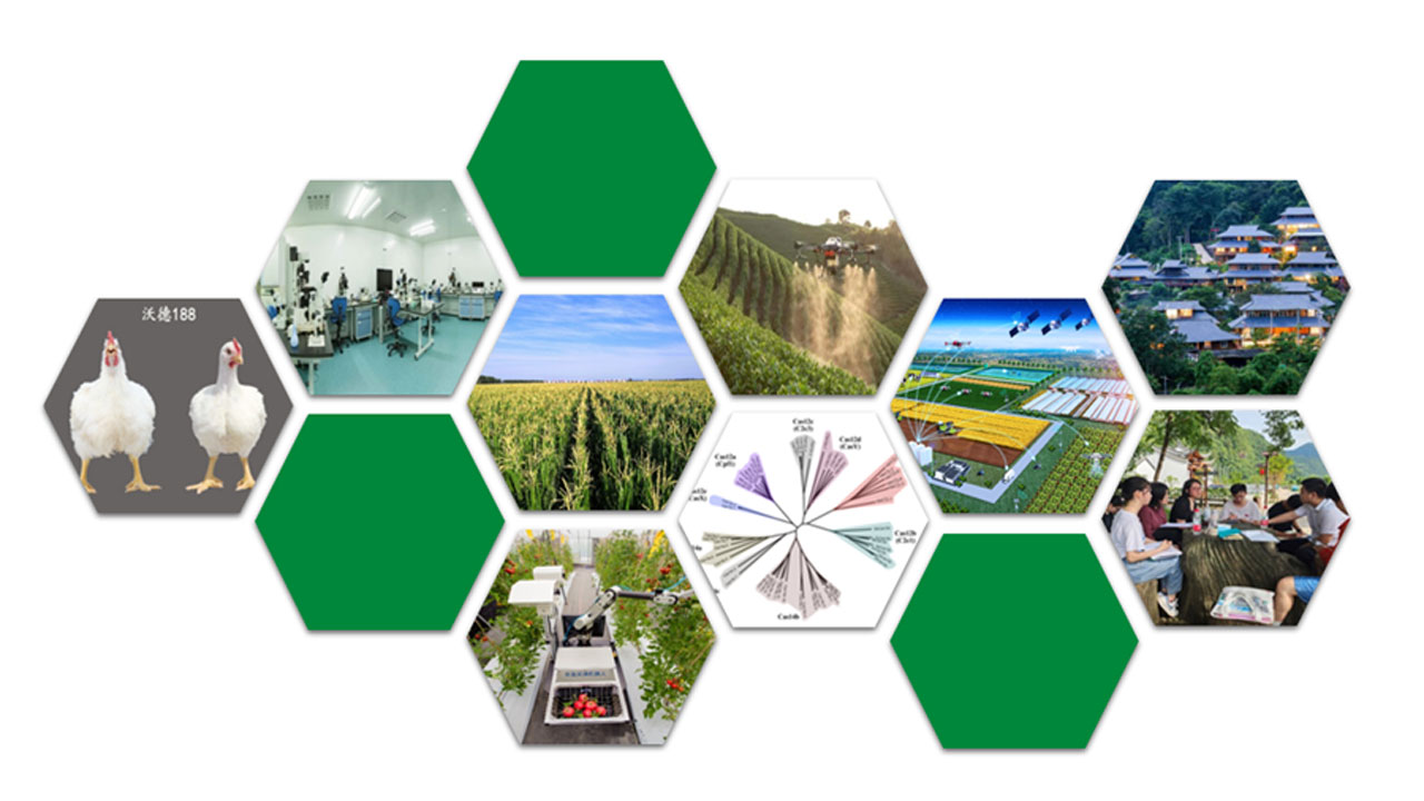 2e20025dc7c44bafb430951bd171b6da.jpg 2e20025dc7c44bafb430951bd171b6da.jpg