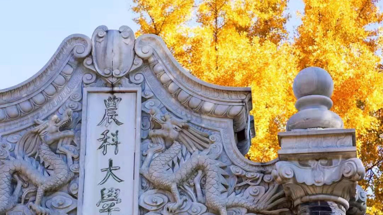 99ce52cf74a8415cb699bc4ecd5a2102.jpg 99ce52cf74a8415cb699bc4ecd5a2102.jpg